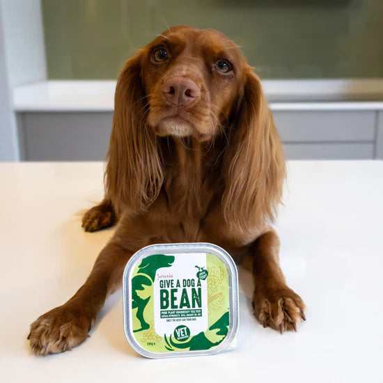 Give A Dog A Bean