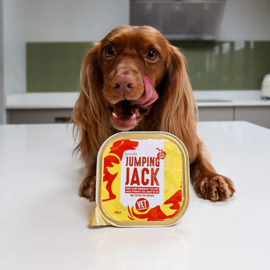 Jumping Jack GOLD