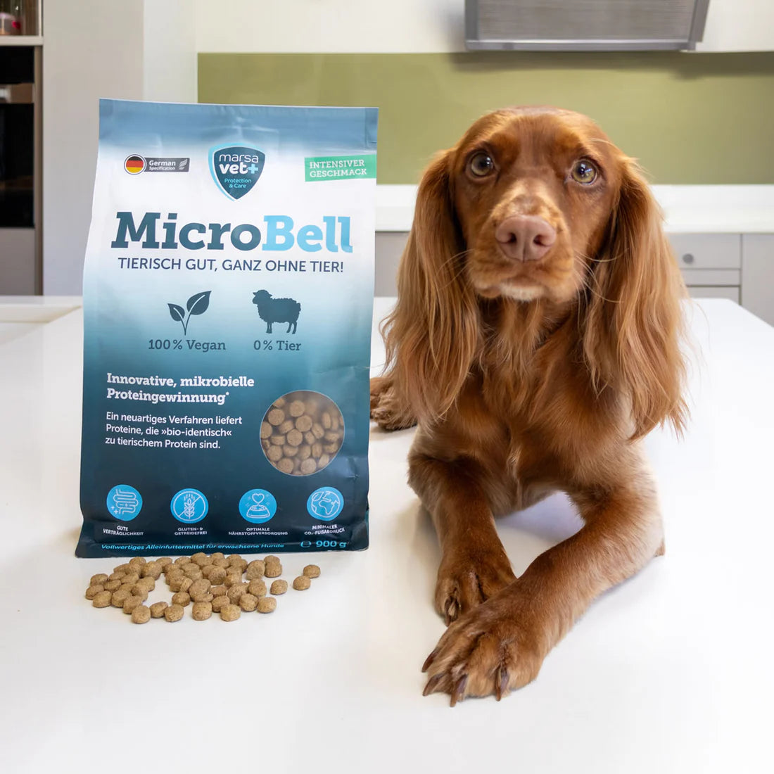 MicroBell Biotic Protein 900g